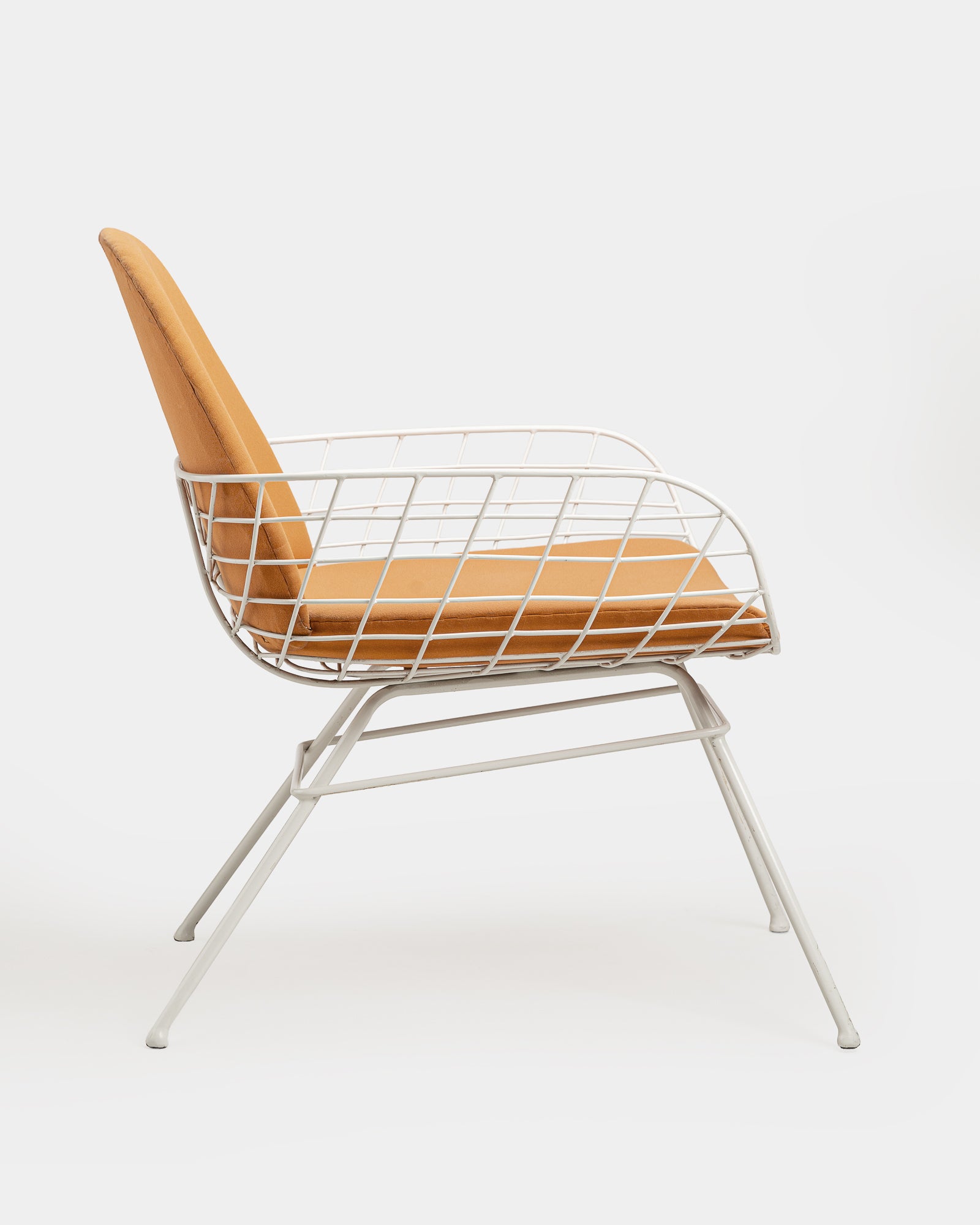 Rib Lounge Chair