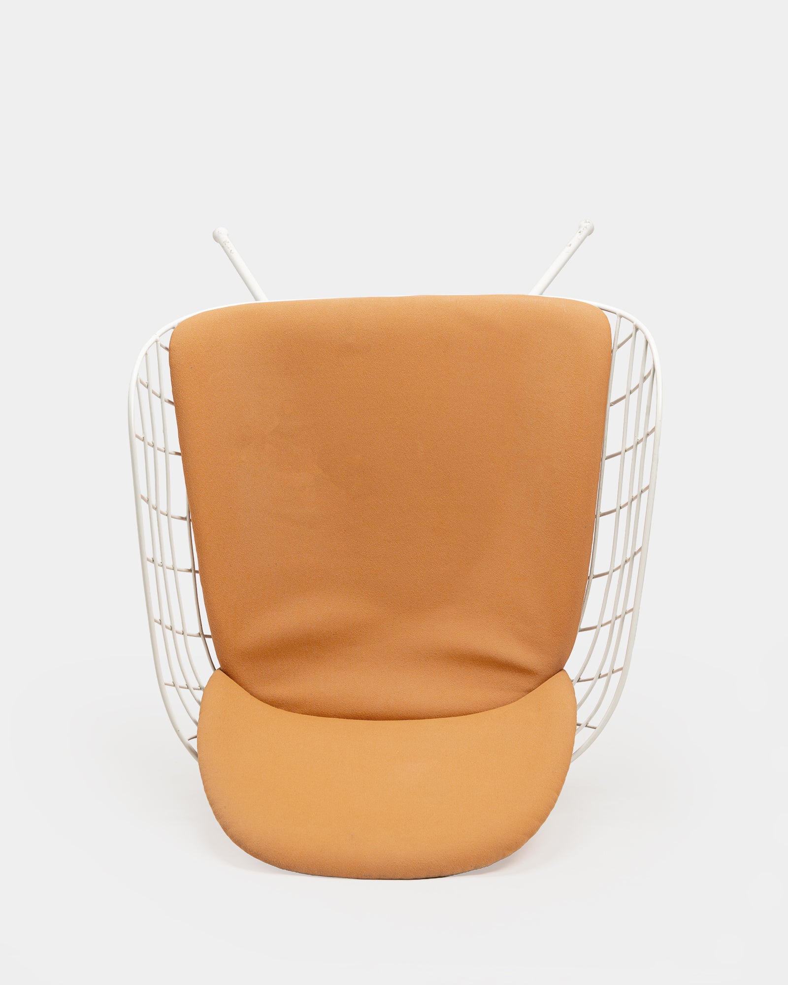 Rib Lounge Chair